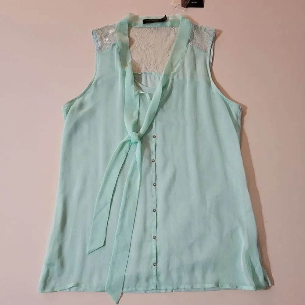 The Limited Sleeveless Mint Blouse